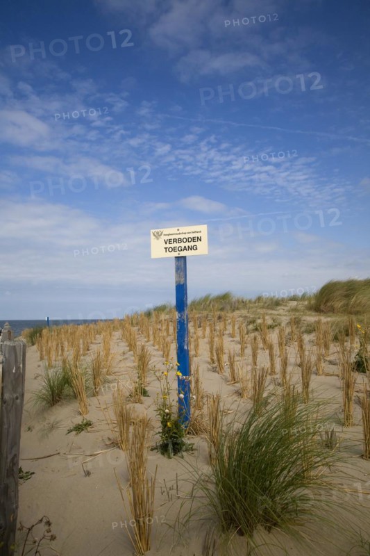 Sand dunes south of Scheveningen Holland