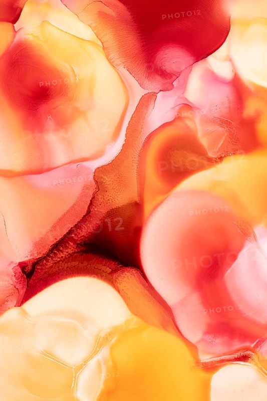 Vibrant liquid abstract inks flow together, featuring a mesmerizing mix of deep red, bright orange, and warm yellow