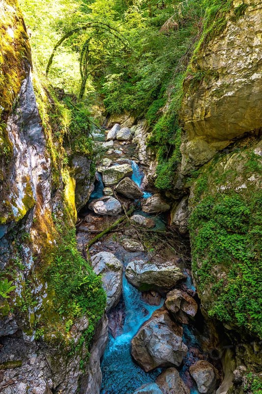 Turquoise water flows through rocks and lush vegetation at the bottom of tolmin gorges in triglav national park, slovenia