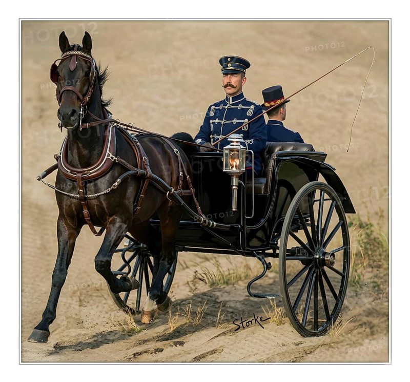 Kaiser Wilhelm II. in a carriage, history, uniform, KaiserKaiser Wilhelm II, monarchy, German Empire, monarch, illustration, historical illustration, digitally edited