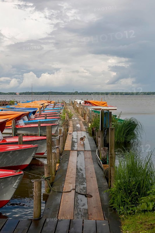Colourful boats anchored at a wooden jetty, under a cloudy sky, Bad Zwischenahn, Zwischenahner Meer, Ammerland, Lower Saxony, Germany