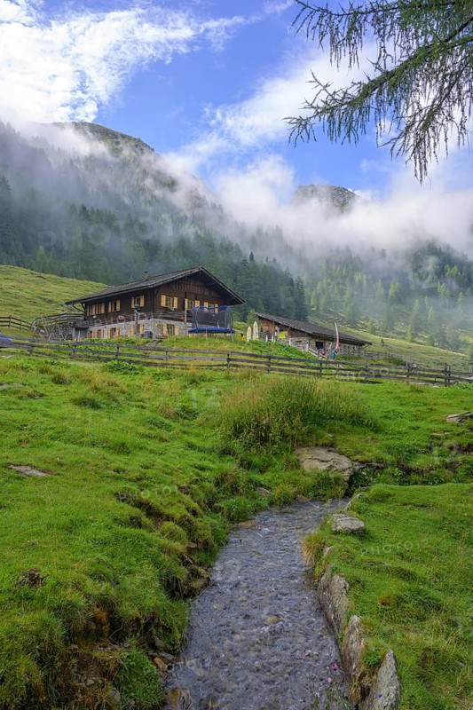 Lower Ulfaseralm and Nebelwald, moss in Passeier, South Tyrol, Italy