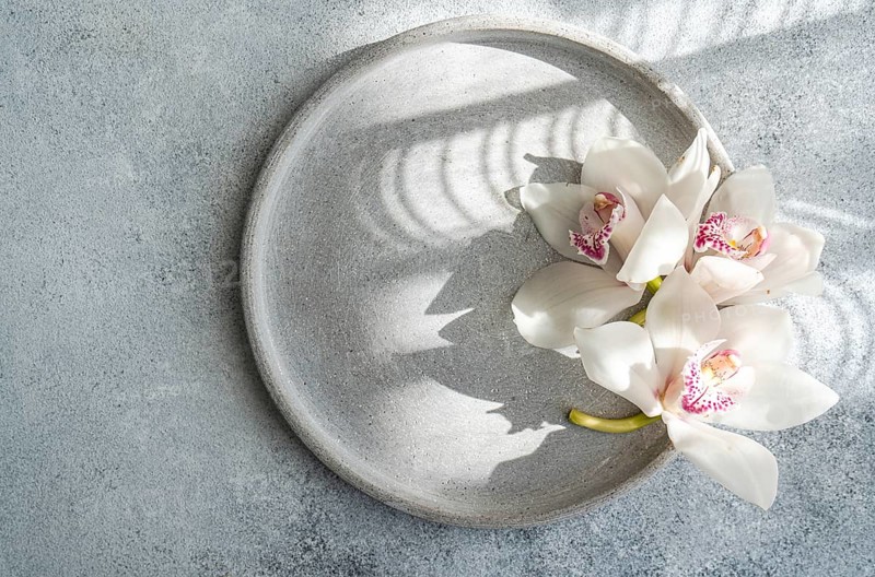 Beautiful white orchids arranged on a round grey ceramic plate create an elegant and minimalist display. Soft natural light casts gentle shadows, enhancing the serene atmosphere