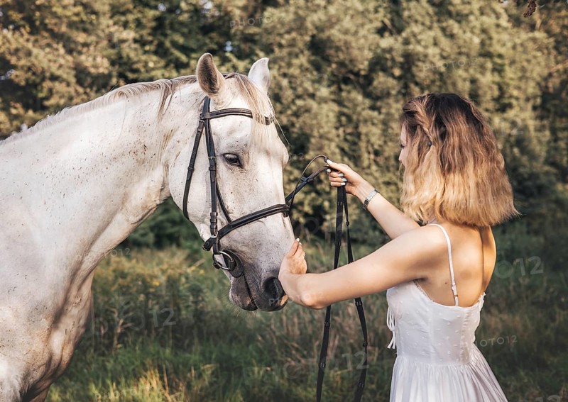 A young woman gently holds the reins of a white horse in a sunlit meadow. Her white dress complements the serene setting as they share a calm, intimate moment amidst lush greenery