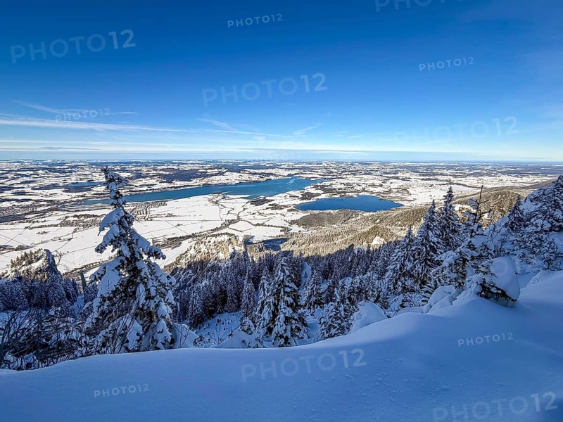 View of Forggensee and Bannwaldsee with snow in winter, ski tour on Tegelberg in winter, Schwangau, Allgäu Alps, Bavaria, Germany