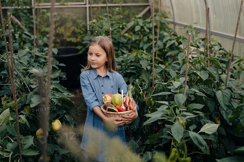 A young girl in a blue dress holds a basket of freshly picked vegetables in a lush greenhouse, surrounded by tall green plants and ripe produce