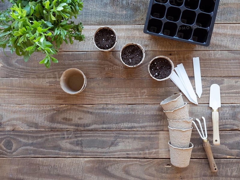 Gardening tools, soil, and plants on a wooden table, preparing for spring planting
