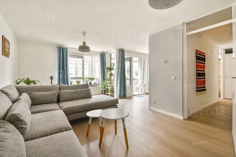 Elegant and modern living room showcasing a spacious gray sectional sofa against a bright backdrop, complemented by light wooden flooring, plants, and artistic decor elements