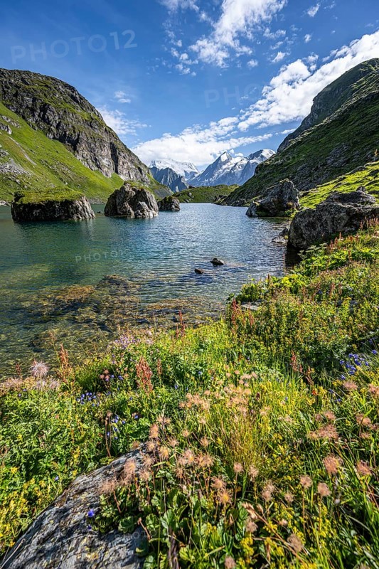 Mountain lake with view of glaciated mountain peaks, Lac du Louvie with summit Grand Combine, Valais Alps, Val de Bagnes, Valais, Switzerland