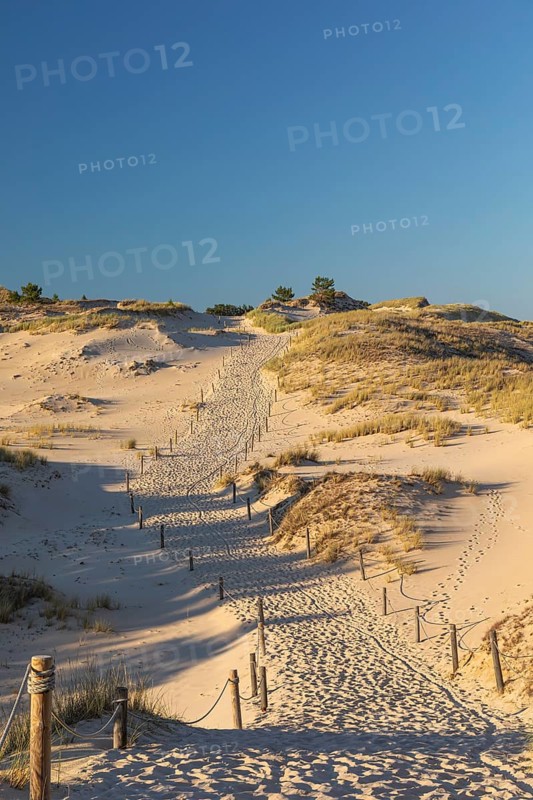 Lacka Dune on a sunny day with a blue sky in the Slowinski National Park, northern Poland on the Baltic Sea coast. 42 metres high and moving at a rate of 3 to 10 metres per year