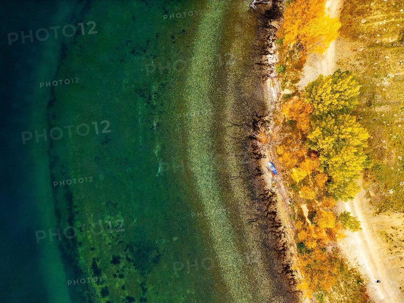 Aerial view captures the stunning autumn colors of Queenstown, New Zealand, with vibrant foliage along the serene lake shoreline. The tranquil scene embodies the essence of fall