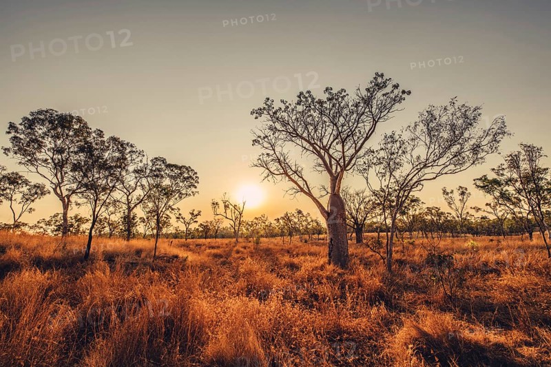 Outback Scenes Australia