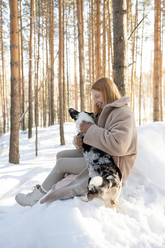 A woman plays lovingly with her Border Collie dog amidst the snowy forest. Captured in daylight, this image portrays the bond between the dog and the female owner