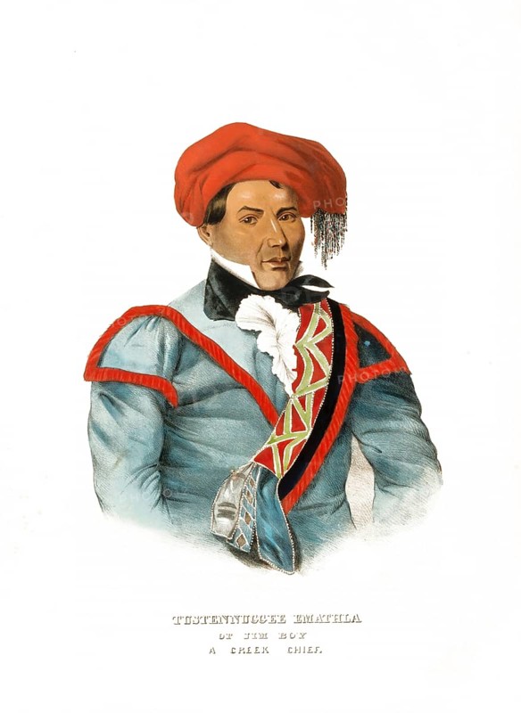 American Indian, Native American, Tustennuggee Emathla, Chief, United States of America, USA, Painting by Charles Bird King (1785, 1862), c. 1840, Historic, digitally restored reproduction from a 19th century original, Record date not stated