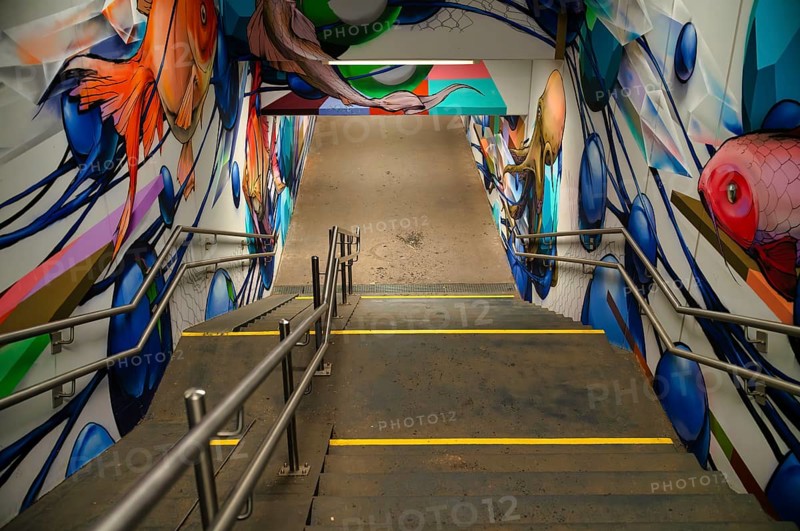 Graffiti underwater world by artist Jeroo, stairs to the underpass, Sommerrain, Stuttgart, Baden-Württemberg, Germany