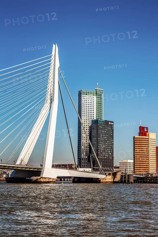 Erasmus Bridge, city panorama, Rotterdam, Netherlands