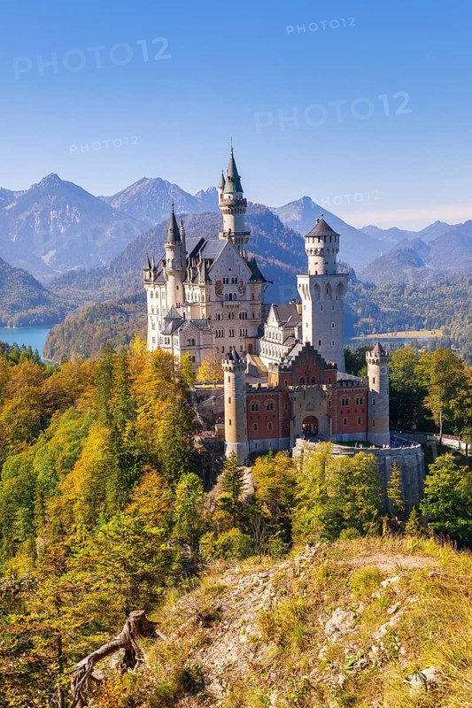 Neuschwanstein Castle surrounded by colourful autumn forests with a mountain panorama, Schwangau, Ostallgäu, Allgäu, Swabia, Upper Bavaria, Bavaria, Germany