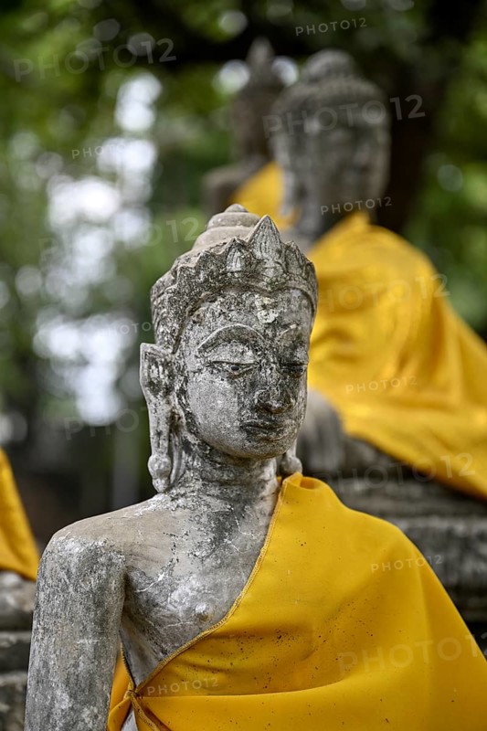 Buddha statue in Wat Yai Chai Mongkhon, Buddhist temple, Ayutthaya, Ayutthaya province, Thailand