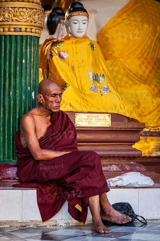 YANGON, MYANMAR, JANUARY 3, 2014: Ascetic Buddhist monk meditating in Shwedagon Paya pagoda