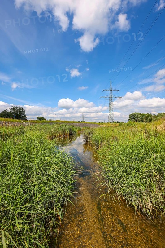 Bottrop, North Rhine-Westphalia, Germany - Renaturalised Boye, the tributary of the Emscher, was transformed into a near-natural watercourse, flood protection through newly designed flooding areas, the Boye is now free of wastewater after the construction of a parallel sewer, is part of the Emscher river system and thus part of the Emscher conversion, was previously an open, above-ground wastewater channel, mixed water channel with surface water and wastewater