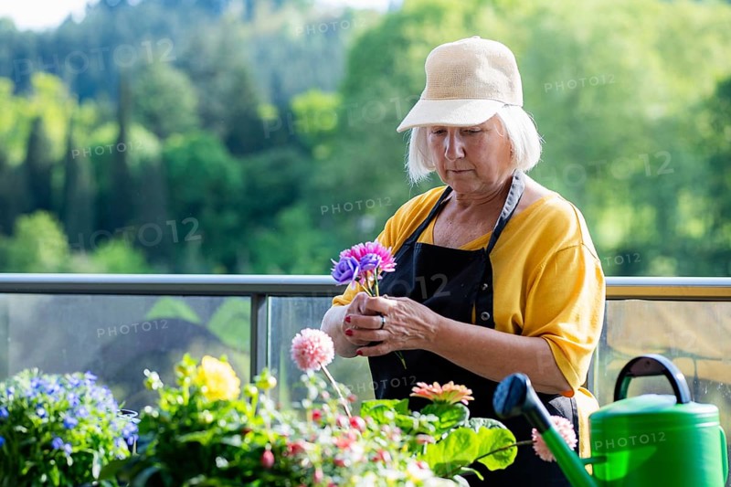 An elderly woman thoughtfully tends to her colorful garden, surrounded by vibrant blooms. She gently holds flowers, embodying peace and joy, set against a serene outdoor backdrop