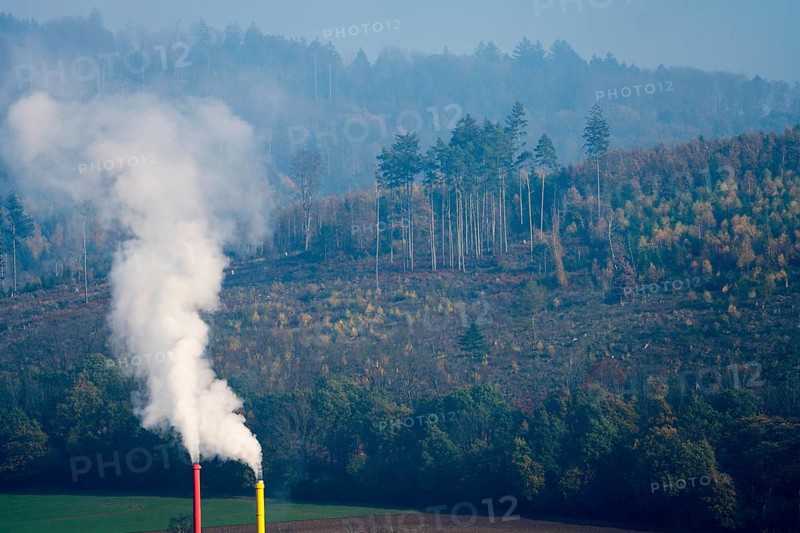 Air pollution. forest dieback