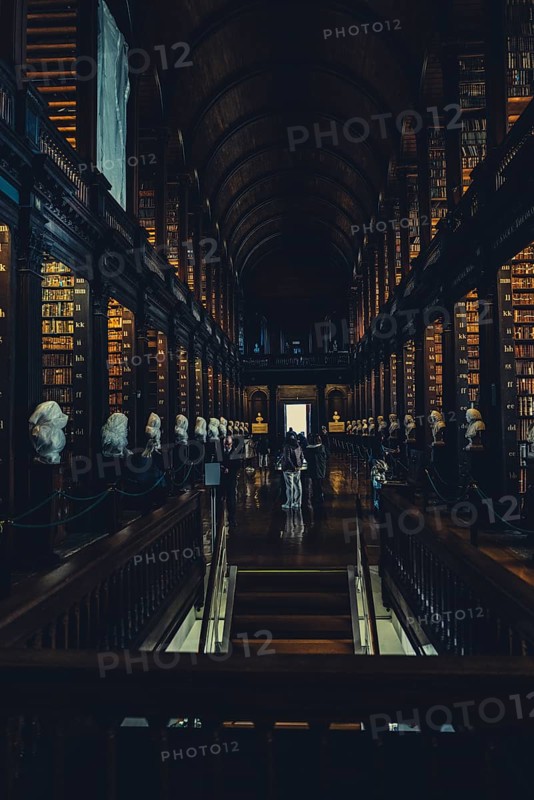 Library of Trinity College, Dublin