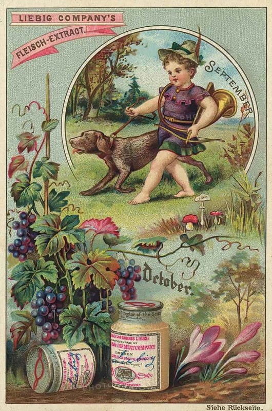 Picture series The months, September and October, Liebig picture, digitally restored reproduction of a collector's picture from around 1900, public domain, exact date unknown, A child in an autumn landscape with a dog and grapes, symbol of the harvest