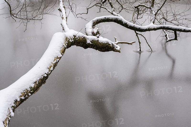 Winter at the Ahlhorn fish ponds, Ahlhorn, Lower Saxony, Germany