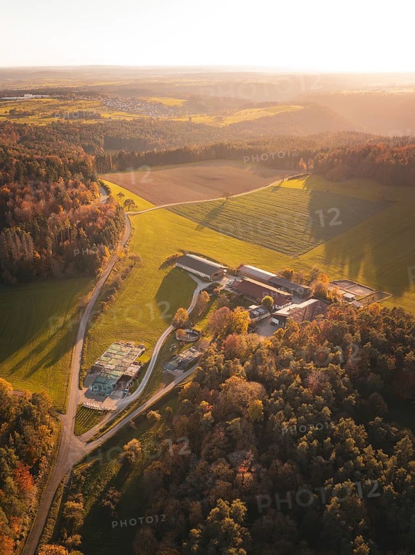 Fields and forests in sunset light during autumn, Gechingen, Black Forest, Germany