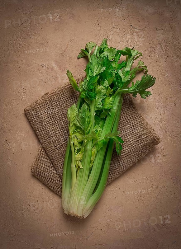 Fresh bunch of celery, top view, no people