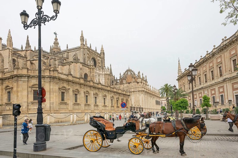 Historic street scene with horse-drawn carriages and Gothic architecture in the background, Seville, Andalusia, Spain