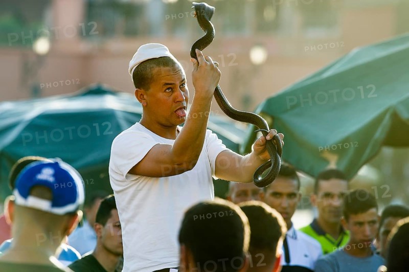 Snake charmers on Place Djemma el-Fna, Juklerplatz, UNESCO World Heritage Site, Marrakech, Morocco