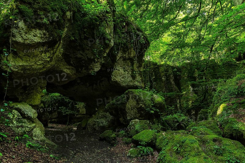 A serene view of the deep forest in Sierra de Urbasa, Navarra, Spain. The image shows lush green vegetation, moss-covered boulders, and dense tree canopy, creating a tranquil atmosphere