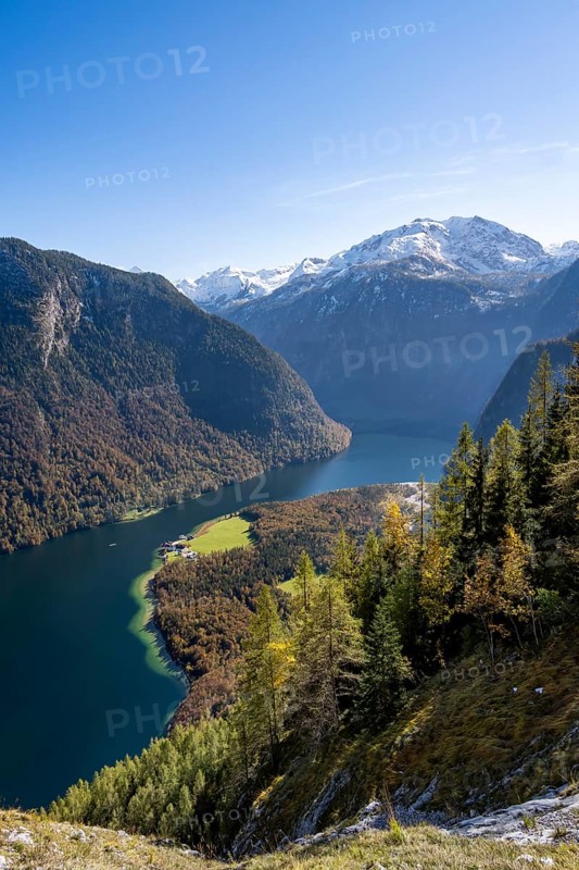 View of the Königssee from the Rinnkendlsteig mountain hiking trail, autumnal forest and snow-covered mountains, Berchtesgaden National Park, Berchtesgadener Land, Upper Bavaria, Bavaria, Germany