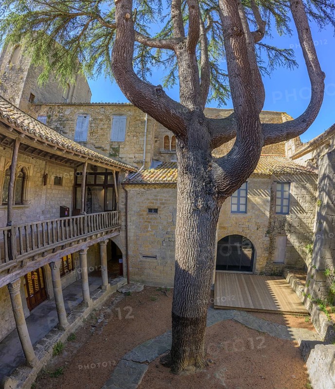 Courtyard with tree in the Sainte Marie Abbey in Lagrasse, Département Aude, France