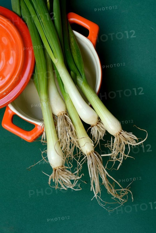 Spring onions in pots, onion