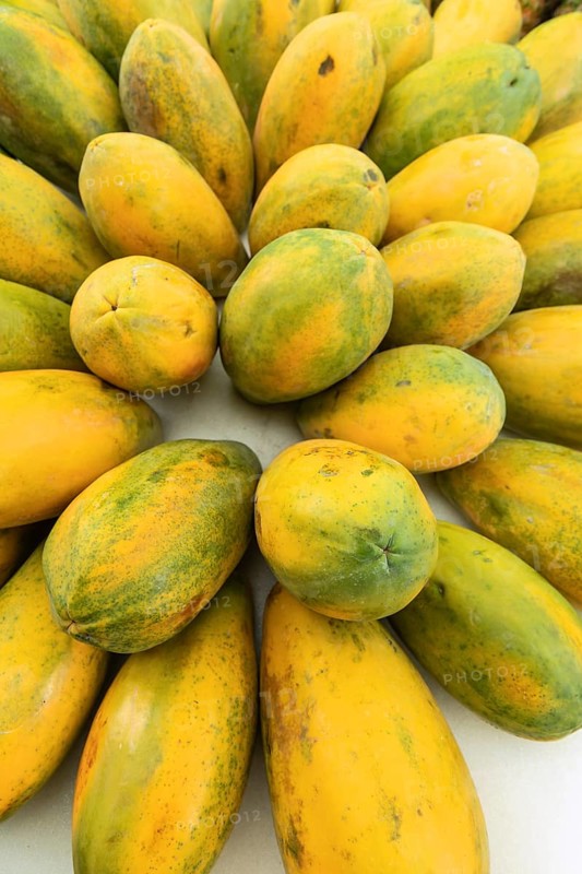 Ripe papayas (Carica papaya) in a circular arrangement with yellow-green skin. Costa Rica