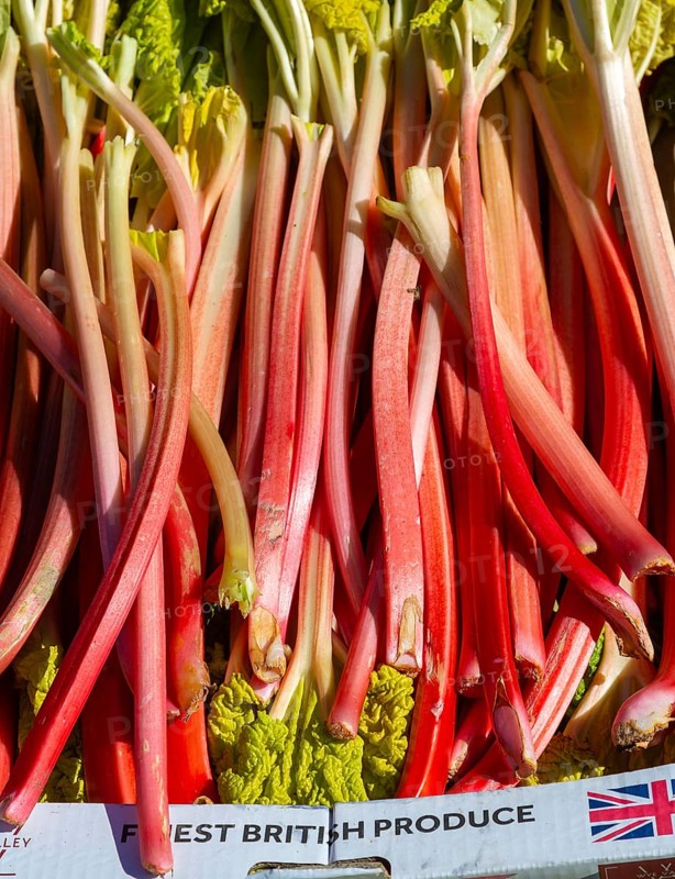 Display of rhubarb stalks outside Brothers Fruit and Vegetables shop, East Dulwich, London, England, UK