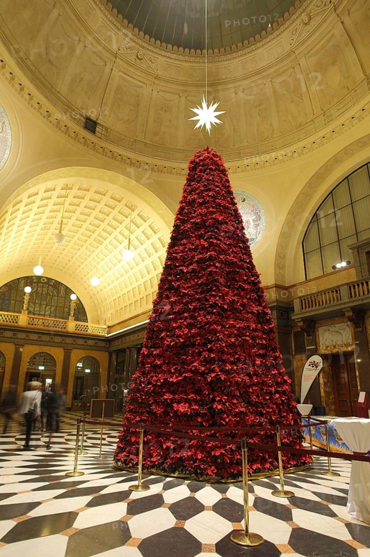 Red Christmas tree in the foyer, spa hotel, Wiesbaden, Taunus, Hesse, Germany