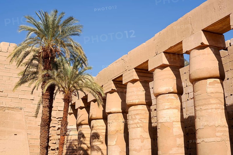 Colonnade and date palms (Phoenix dactylifera), Karnak Temple, Luxor, Egypt