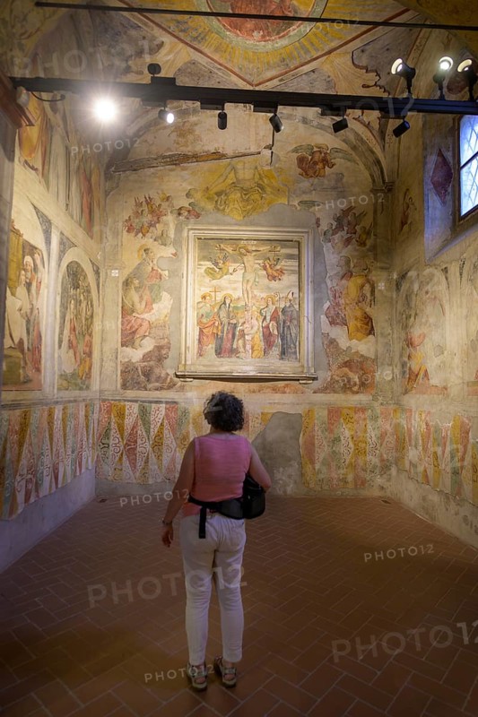 Woman looking at frescoes in the Basilica of San Salvatore, Brescia, Province of Brescia, Italy