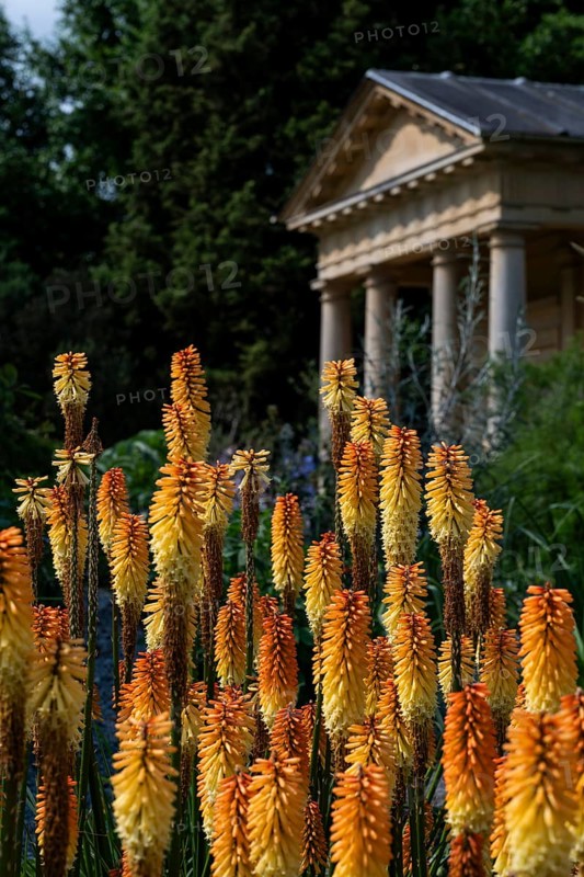 Mediterranean garden with neoclassical architecture, temple, Royal Botanic Gardens (Kew Gardens), UNESCO World Heritage Site, Kew, Greater London, England, United Kingdom