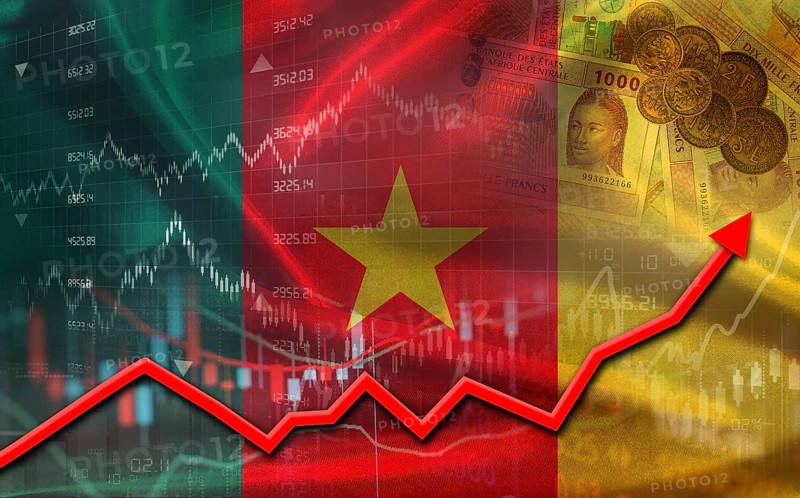 Cameroonian economic growth on financial graph. Cameroon financial growth on market graph