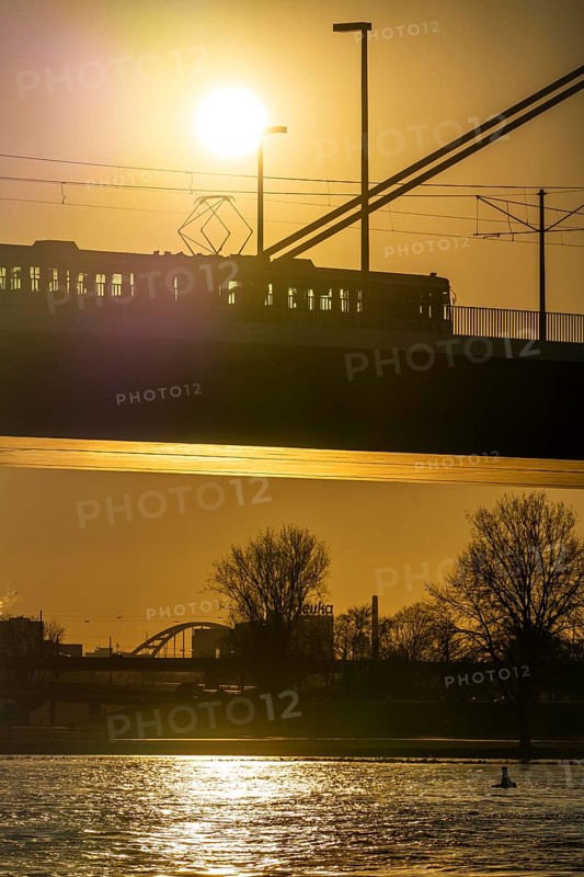Tram on the Oberkassler Rhine Bridge, Düsseldorf, North Rhine-Westphalia, Germany