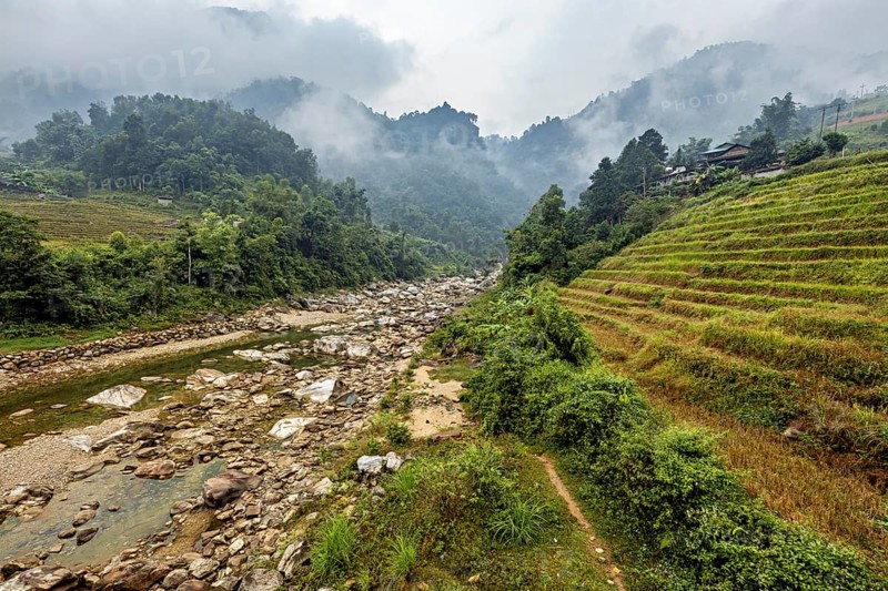 Landscape with river and rice terraces surrounded by misty mountains and green forests, river landscape in the Sa Pa area in Vietnam