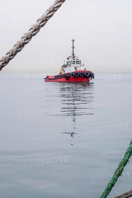 A solitary tugboat navigates the calm waters of the Black Sea near Georgia, surrounded by fog and tranquility. The minimalist scene captures the serenity of early morning maritime activities