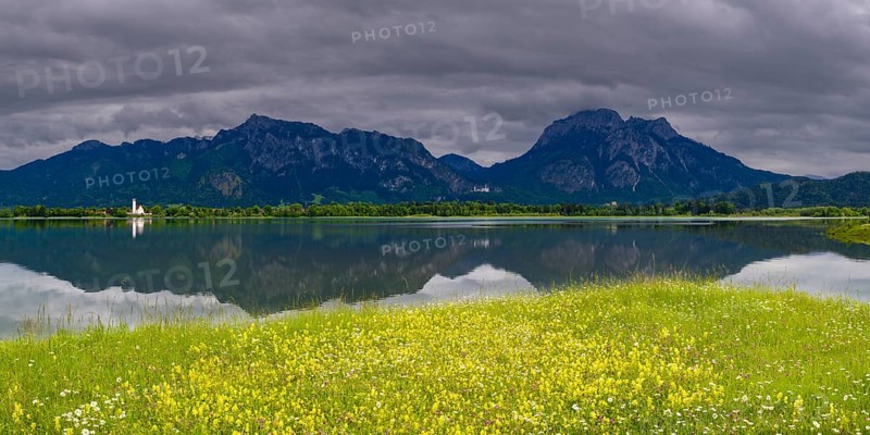 Panorama over a spring meadow and Lake Forggensee, behind it Tegelberg and Säuling, in between Neuschwanstein Castle near Hohenschwangau, Romantic Road, Ostallgäu, Bavaria, Germany