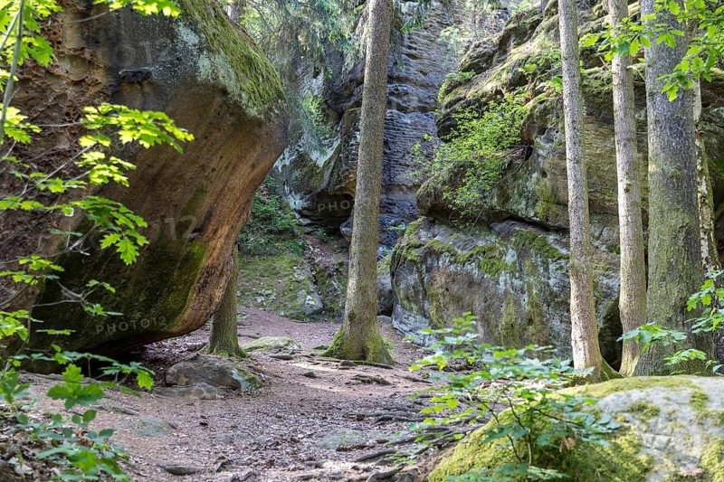 Rocky landscape at the Diebskeller or Götzinger Cave at the Kleiner Bärenstein, Thürmsdorf, Struppen, Saxon Switzerland, Saxony, Germany