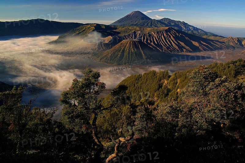 Asia, Indonesia, Java, volcanoes in Bromo-Semeru National Park, Java, Indonesia
